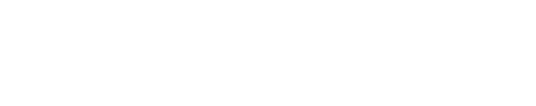 Blue Pine Capital Logo